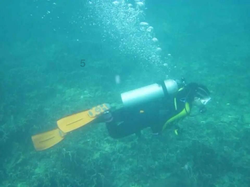 梦幻西游手游