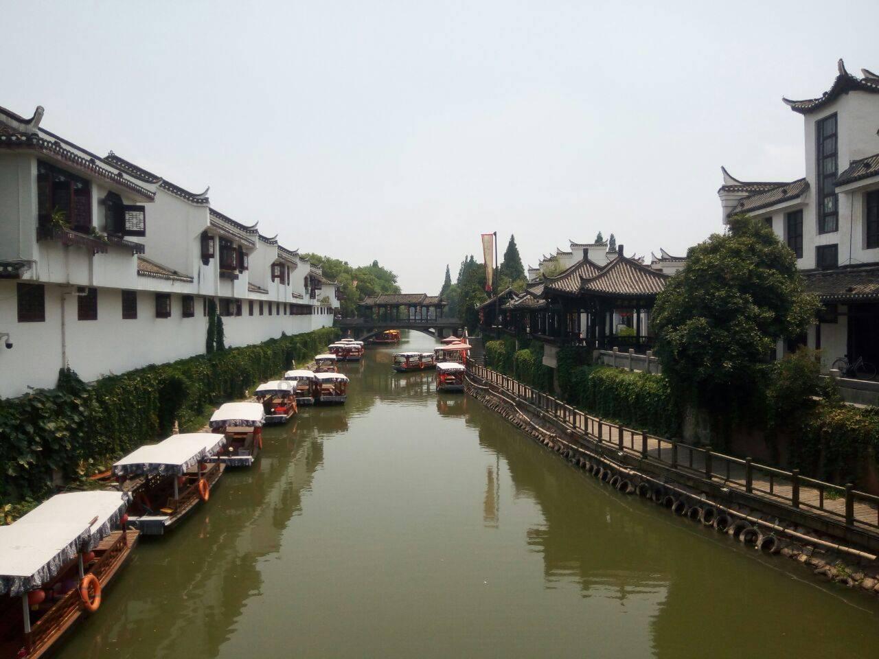 三亚沙滩现多起僧帽水母伤人事件，当地回应：无游客中毒